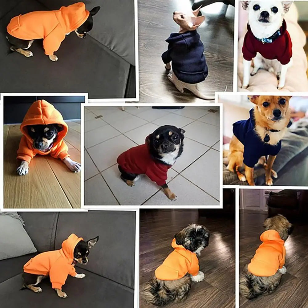 Dog Hoodie Sweatshirt for Small Dogs with Back Pocket