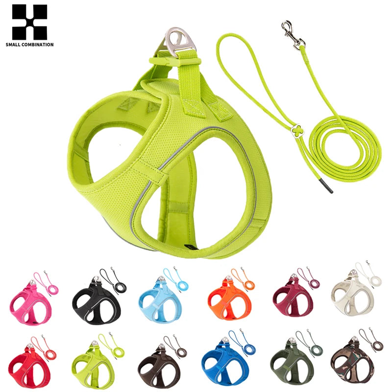 Step-In Dog Harness and Leash Set for Small Dogs and Cats