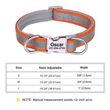 Custom Padded Nylon Dog Collar with Engraved Phone Number