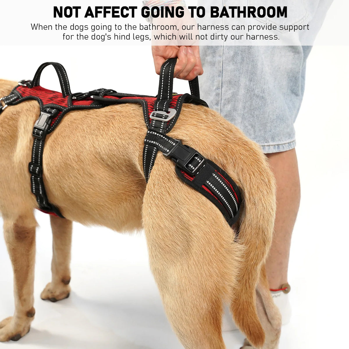 Dog Lift Harness with Handles for Senior Dogs and Rear Support