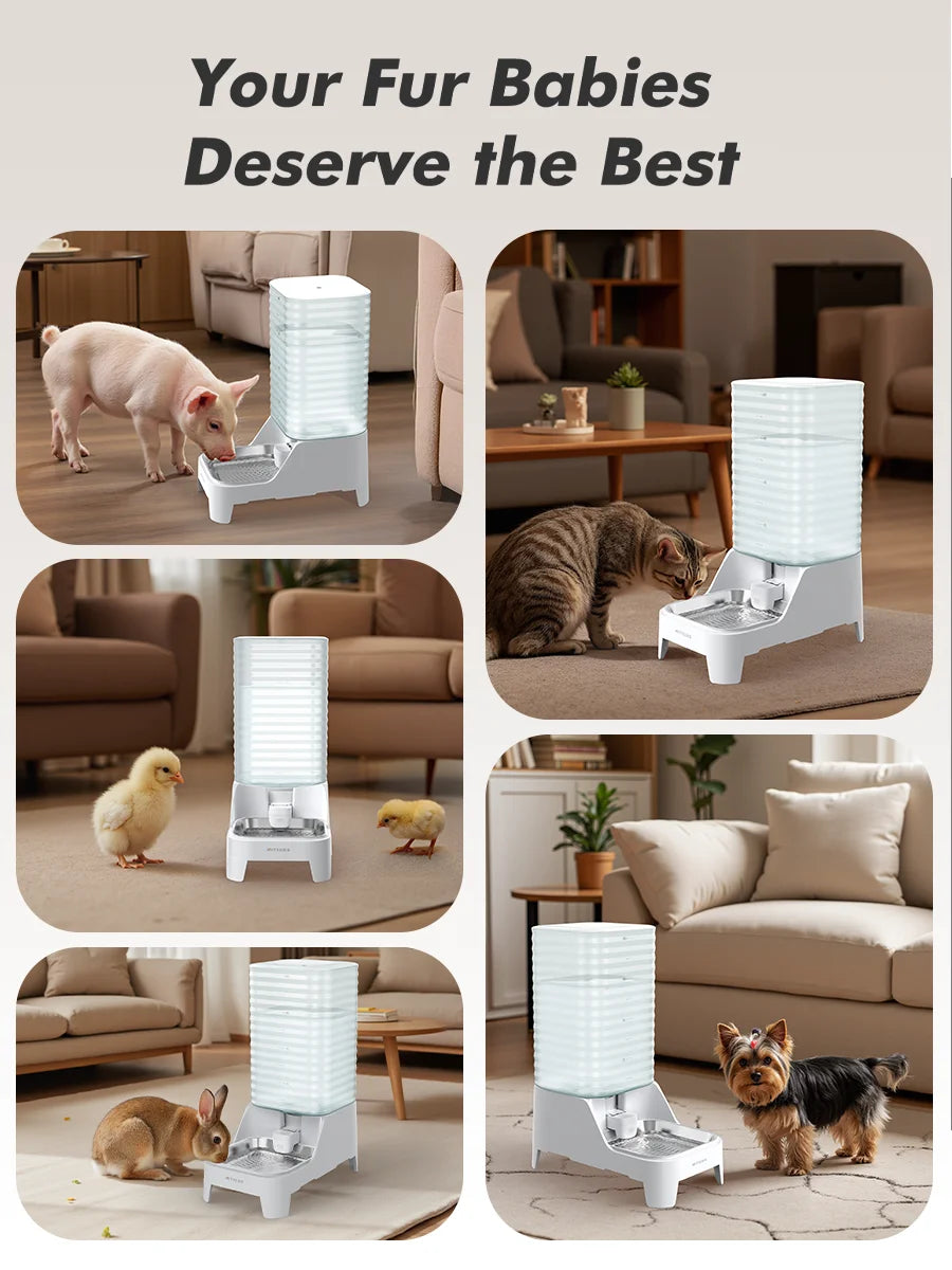 8L Gravity Dog Water Dispenser with Stainless Steel Bowl