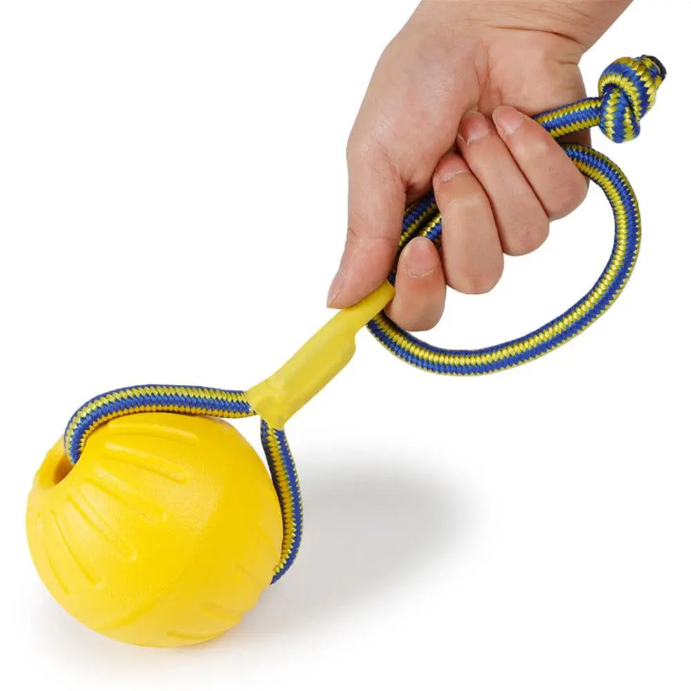 Floating Dog Ball on a Rope for Fetch and Tug