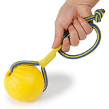 Floating Dog Ball on a Rope for Fetch and Tug