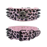 Spiked Skull Dog Collar in Leather for Medium and Large Dogs