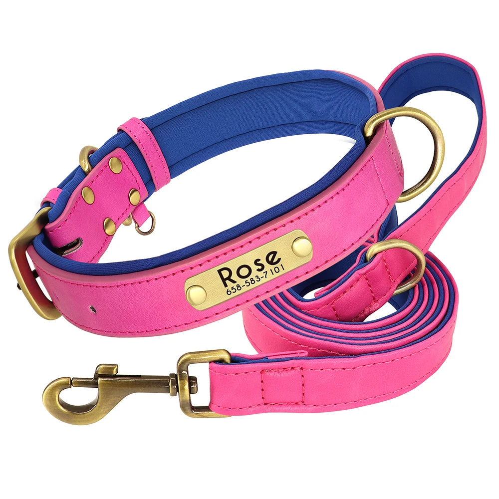 Personalized Dog Collar and Leash Set with Engraved Nameplate