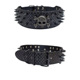 Spiked Skull Dog Collar in Leather for Medium and Large Dogs