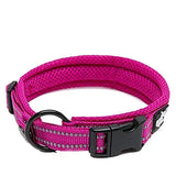 Adjustable Reflective Collar with Stainless Steel Ring
