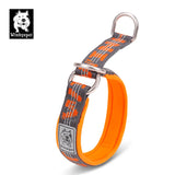 Martingale Dog Collar with Neoprene Padding and Reflective Stitching