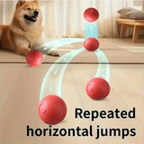 Smart Rolling Dog Ball That Moves on Its Own, USB Rechargeable