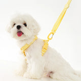 Adjustable Puppy Harness, Collar and Leash Set in Macaron Colors