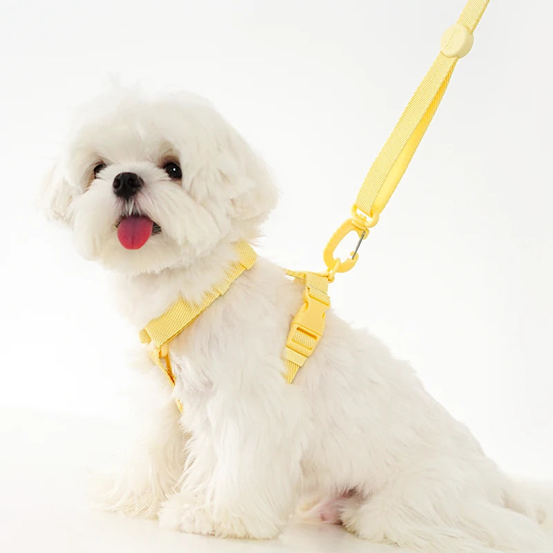 Adjustable Puppy Harness, Collar and Leash Set in Macaron Colors