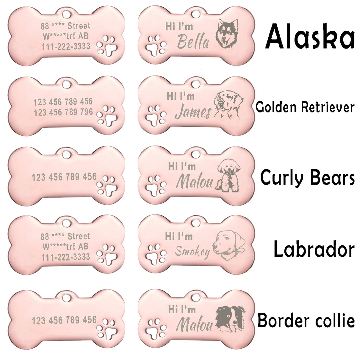 Engraved Bone Dog ID Tag, Personalized Stainless Steel Tag