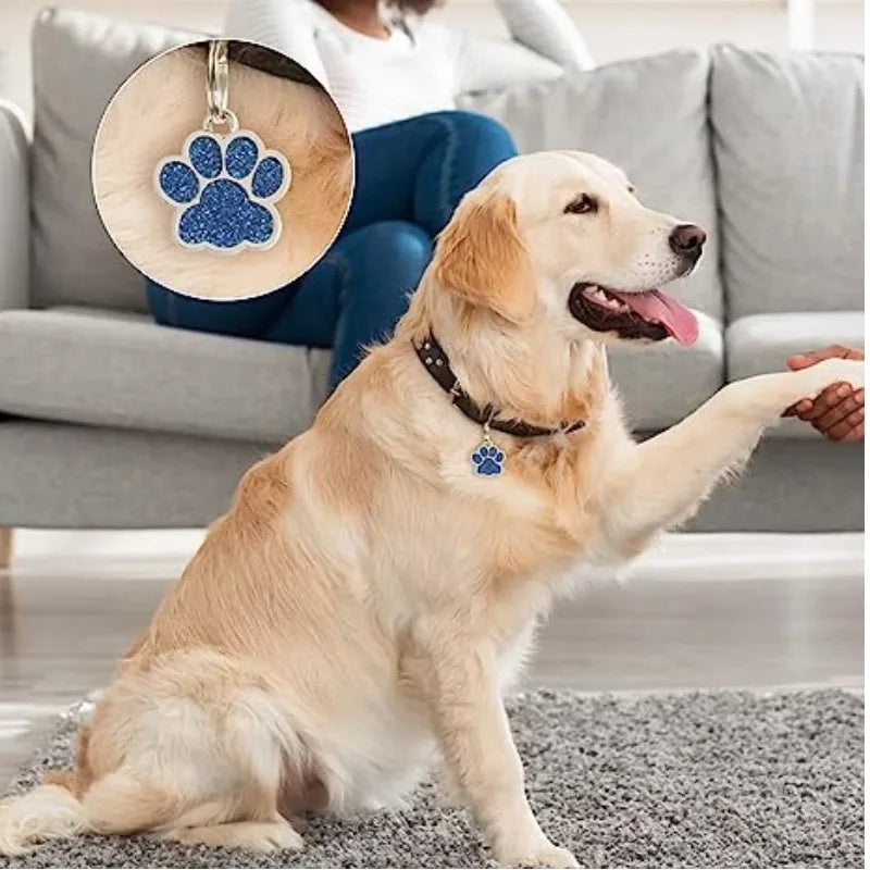 Glitter Paw Dog ID Tag, Engraved Stainless Steel Pet Tag