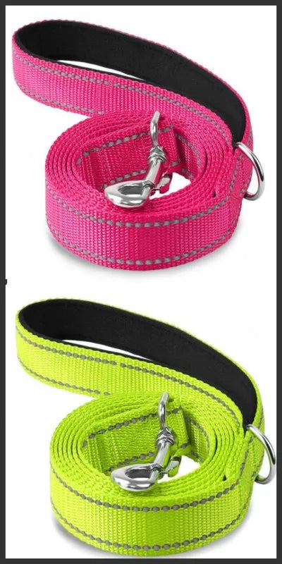 Reflective Nylon Dog Leash with Padded Handle, 4, 5 or 6 ft