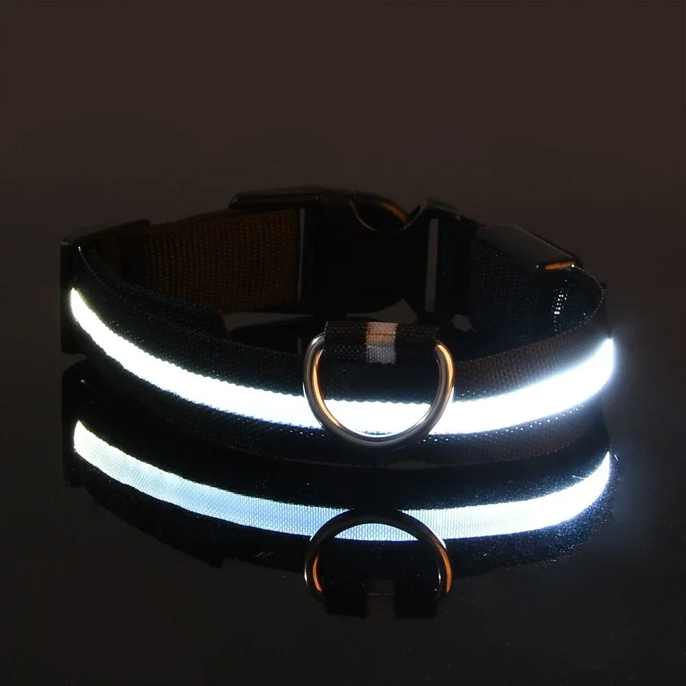 LED Light-Up Nylon Dog Collar with D-Ring and Buckle