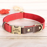 Custom Engraved Dog Collar in PU Leather, 9 Colors