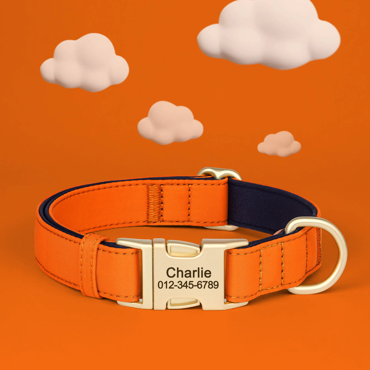 Personalized Padded Dog Collar with Engraved Gold Buckle