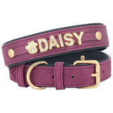 Custom Name Dog Collar with Jeweled Letter Charms