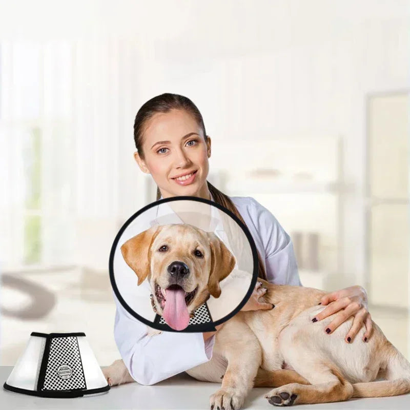 Dog Recovery Cone Collar, Adjustable E-Collar in 9 Sizes