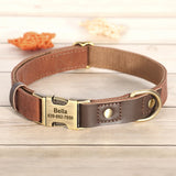 Custom Engraved Dog Collar in PU Leather, 9 Colors