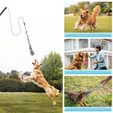 Flirt Pole for Dogs with Rope Lure, Interactive Exercise Toy