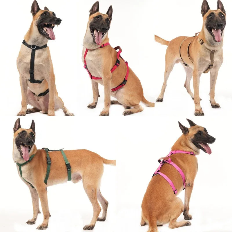 Adjustable Nylon Vest Harness for Large Dogs, M to XL