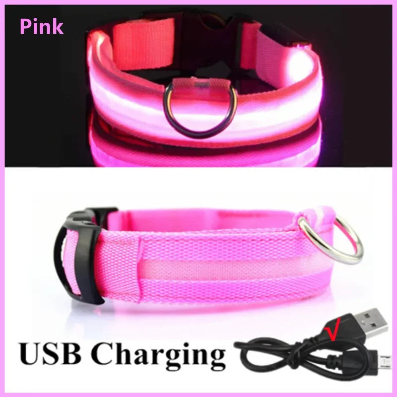LED Dog Collar with 3 Light Modes, USB or Battery Powered