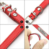 Personalized Dog Collar with Engraved Name Plate, 16 Colors