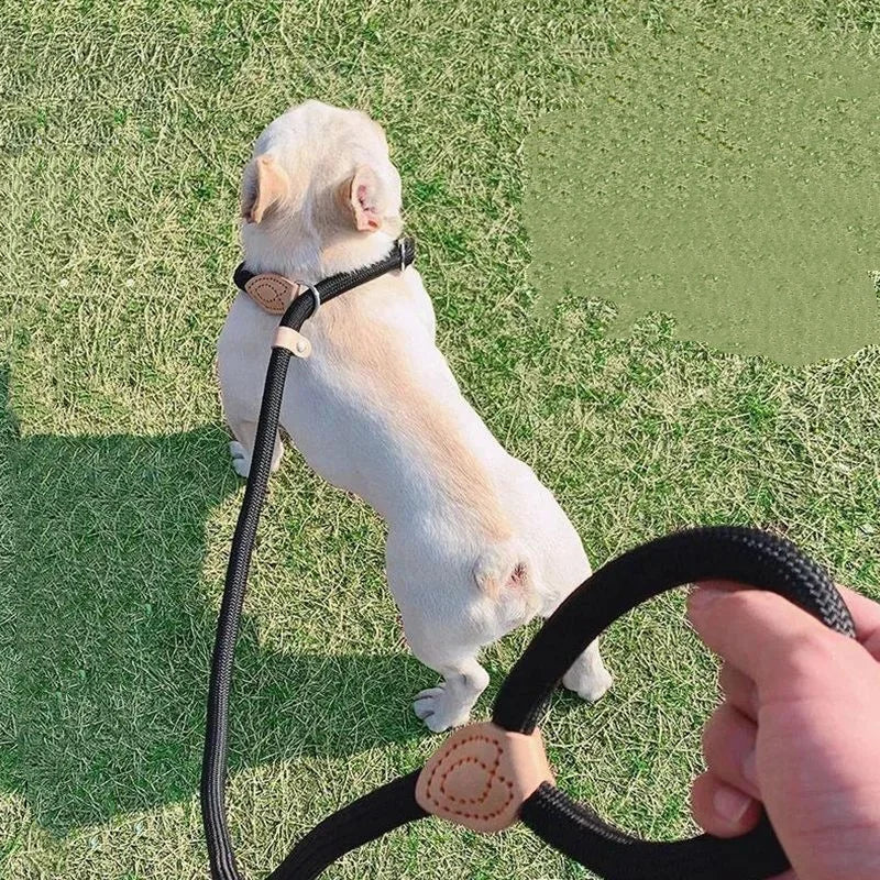 Braided Rope Slip Lead for Small and Medium Dogs