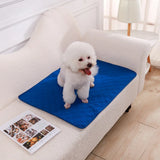 Washable Dog Pee Pad, Reusable Puppy Training Mat with Non-Slip Back