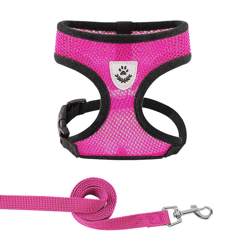 Mesh Dog Harness and Leash Set for Small Dogs and Cats