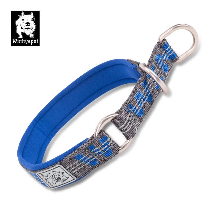Martingale Dog Collar with Neoprene Padding and Reflective Stitching