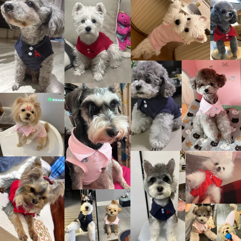 Dog Polo Shirt for Small Dogs, Soft Cotton Summer Shirt