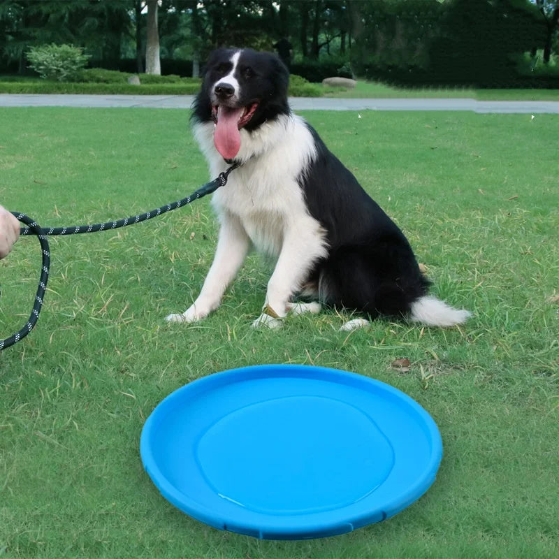 Soft Dog Flying Disc for Fetch, 3 Sizes