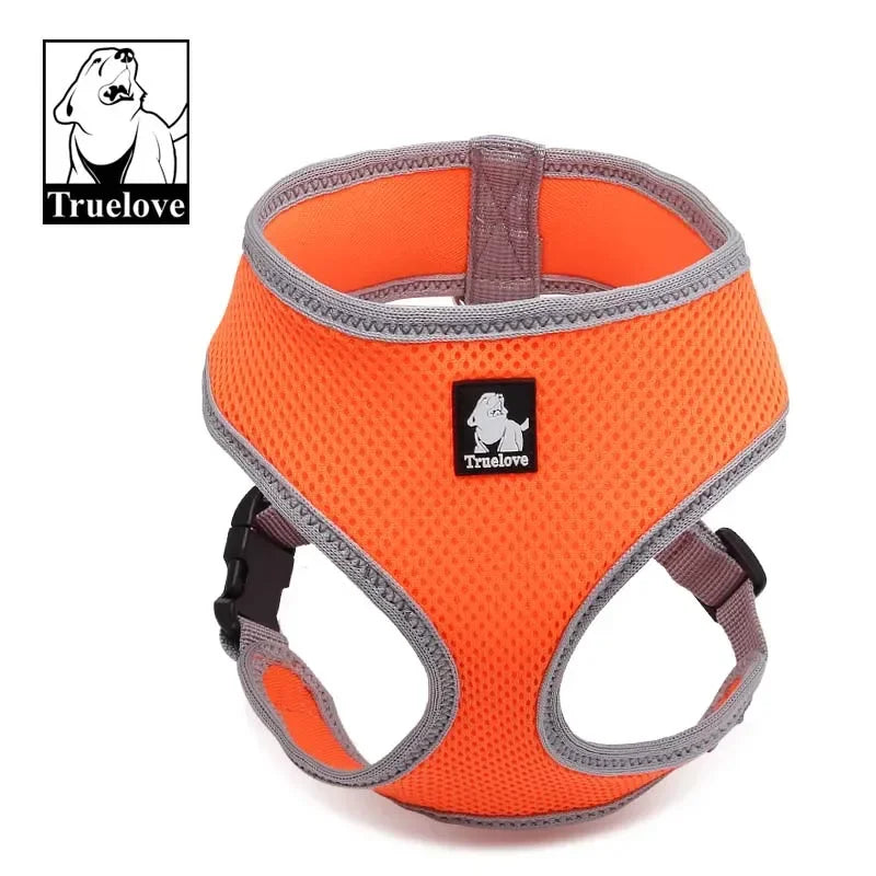 Breathable Mesh Dog Harness for Small and Medium Dogs