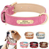 Personalized Leather Dog Collar with Engraved Nameplate, Pin Buckle