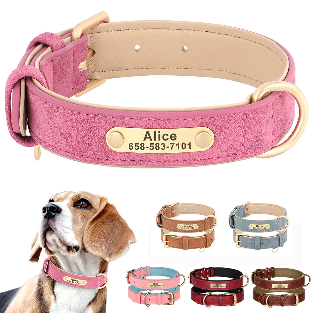 Personalized Leather Dog Collar with Engraved Nameplate, Pin Buckle