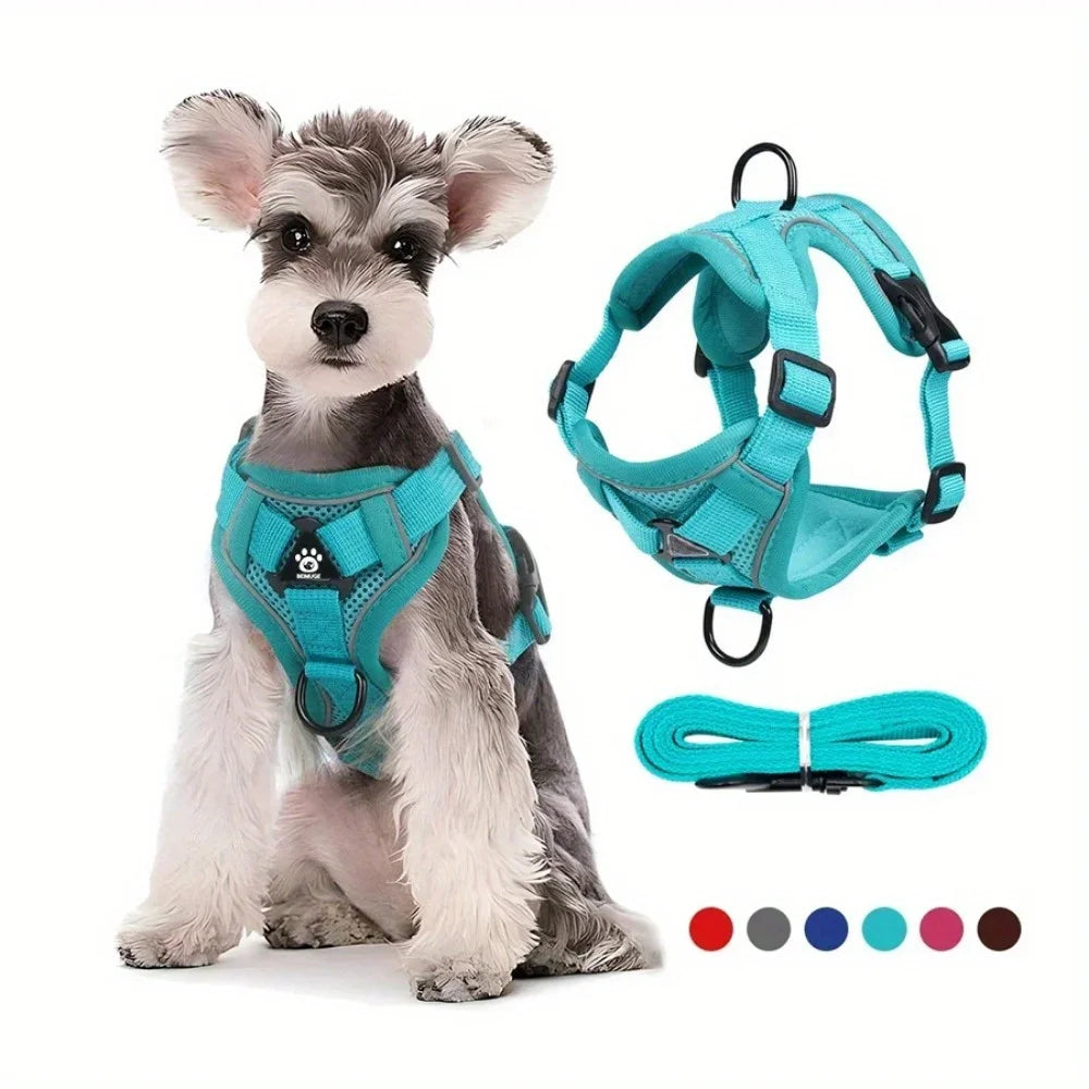 Reflective Dog Harness and Leash Set for Small Dogs