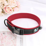 Personalized Dog Collar with Engraved Nameplate, Reflective Padded