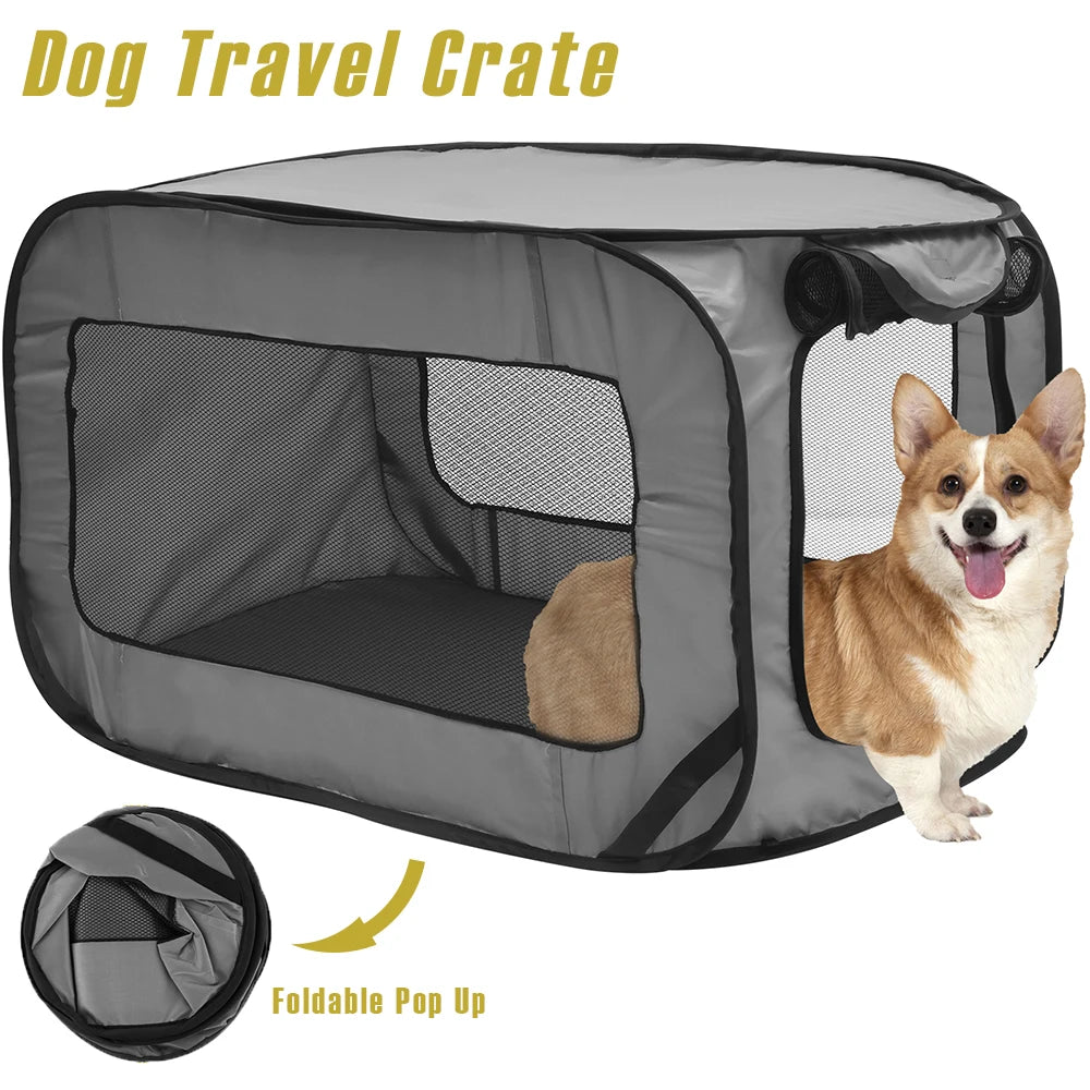 Pop Up Dog Crate with Zipper Mesh Door, Small Breeds