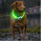 Rechargeable LED Dog Collar, Cut to Fit Small to Large Dogs