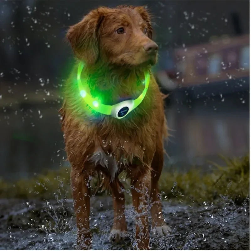 Rechargeable LED Dog Collar, Cut to Fit Small to Large Dogs