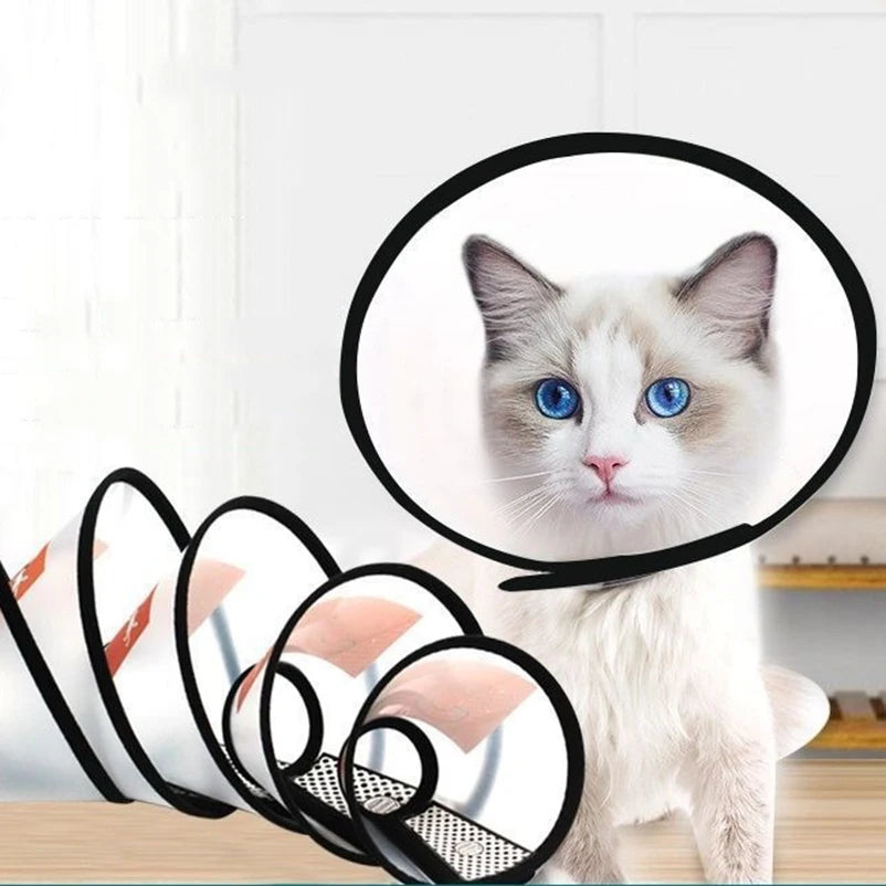 Clear Dog Recovery Cone in 8 Sizes for Cats, Small and Large Dogs