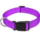 Reflective Nylon Dog Collar, Adjustable, XS to XL in 10 Colors