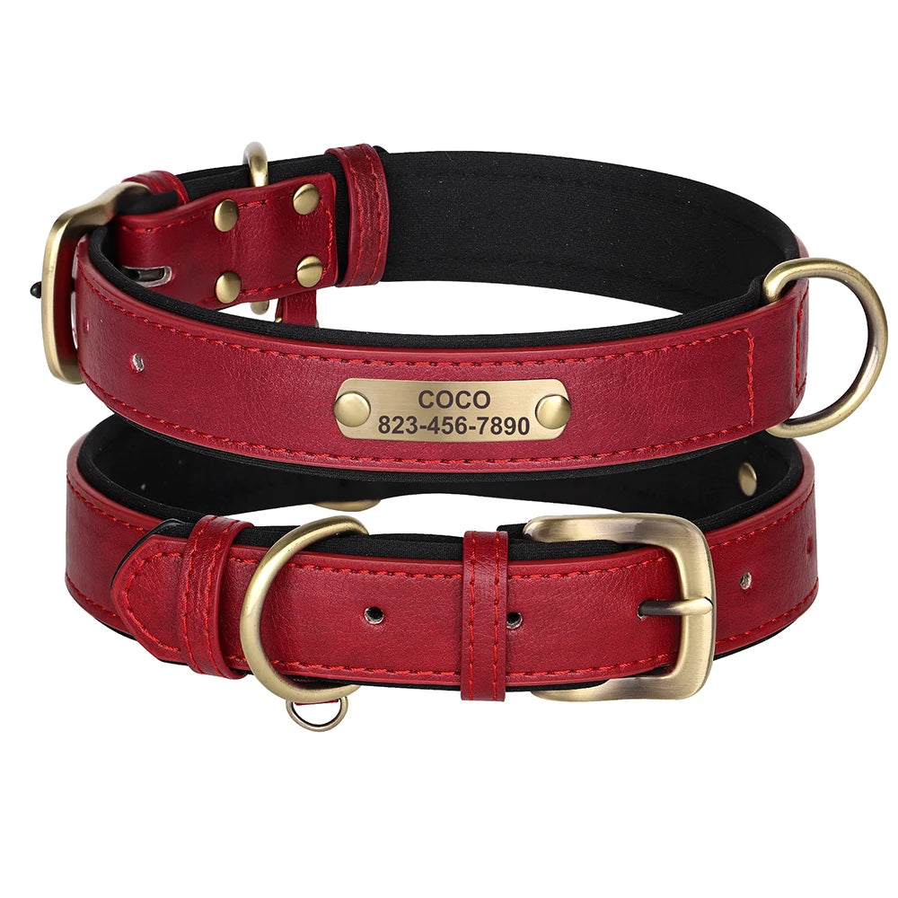 Personalized Leather Dog Collar with Engraved Nameplate, Pin Buckle