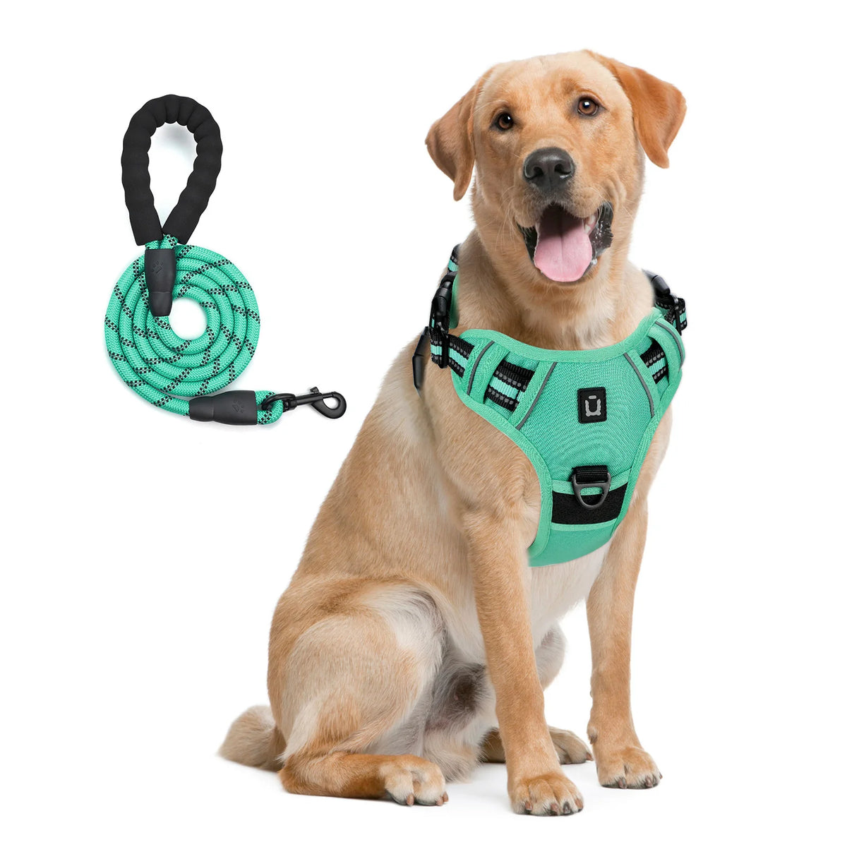 No Pull Dog Harness and Leash Set with Front and Back Clips