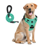 No Pull Dog Harness and Leash Set with Front and Back Clips