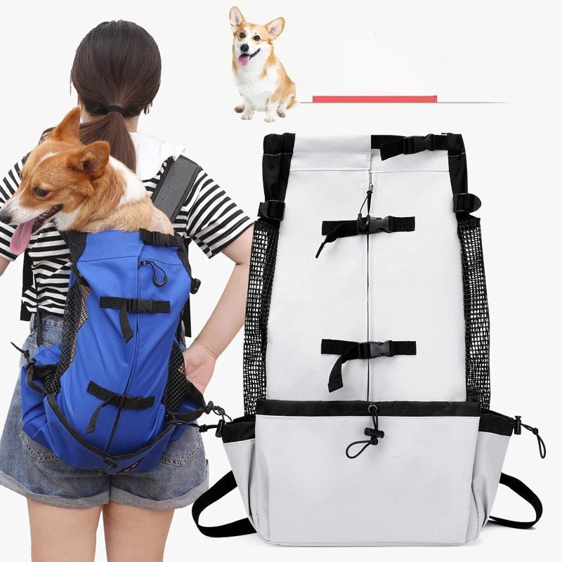Nylon Dog Motorcycle Backpack Carrier for Small and Medium Dogs