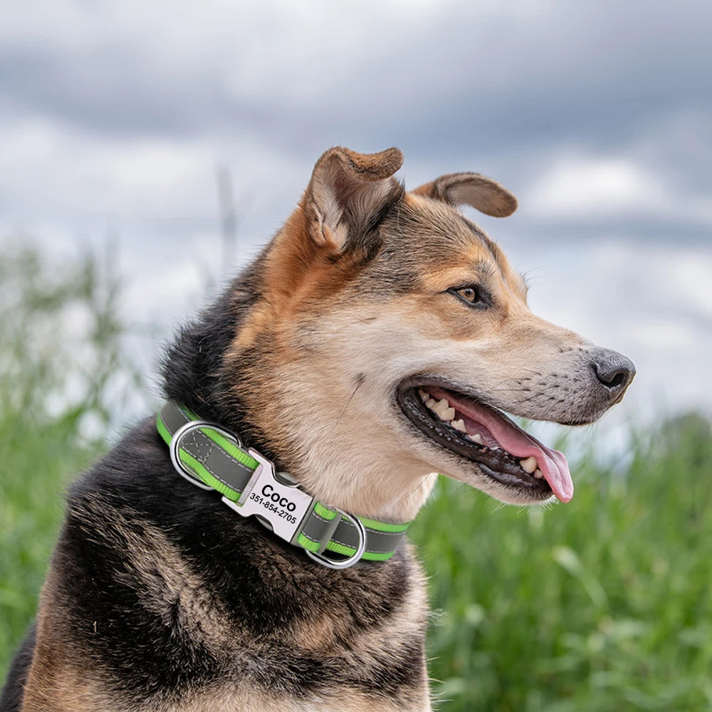 Personalized Reflective Dog Collar with Engraved Name Plate