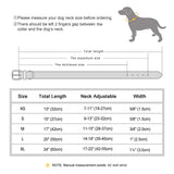 Custom Engraved PU Leather Dog Collar with Name and Phone Number